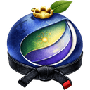 Whole Champions Jiu-Jitsu